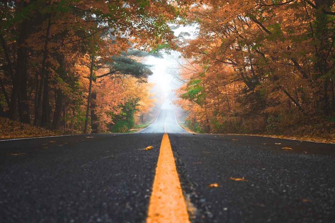 Open road in an autumn forest